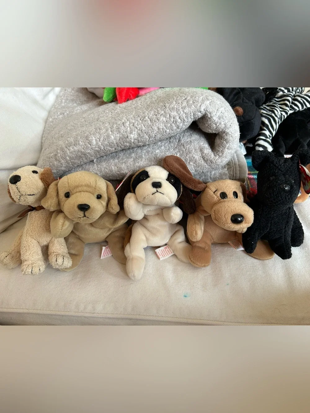 13 Ty beanie baby dogs in like new condition 1994-2000